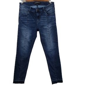 Prosperity Dark Wash Skinny Raw Hem Jean 27P